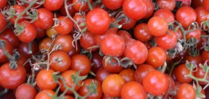 tomates cereja